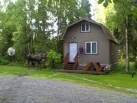 moose-by-cabin-5