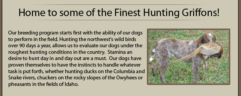 Main Page Text